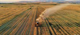 TMO 'ya Buğday Verecek Üreticiye Destek Verilecek