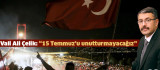 Vali Ali Çelik'in '15 Temmuz Demokrasi ve Milli Birlik Günü' mesajı